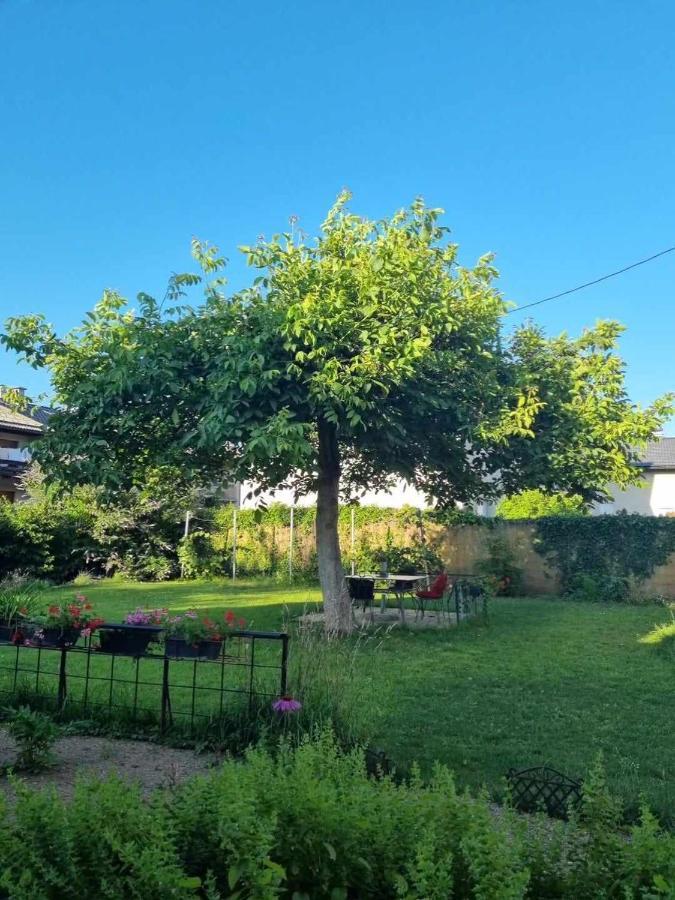 Camping Under The Walnut In Your Own Tent On A Shared Lot And Shared Bathroom Laibach Exterior foto