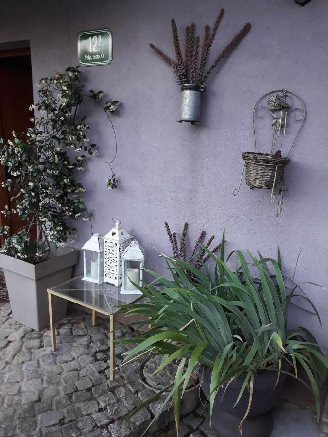 Camping Under The Walnut In Your Own Tent On A Shared Lot And Shared Bathroom Laibach Exterior foto