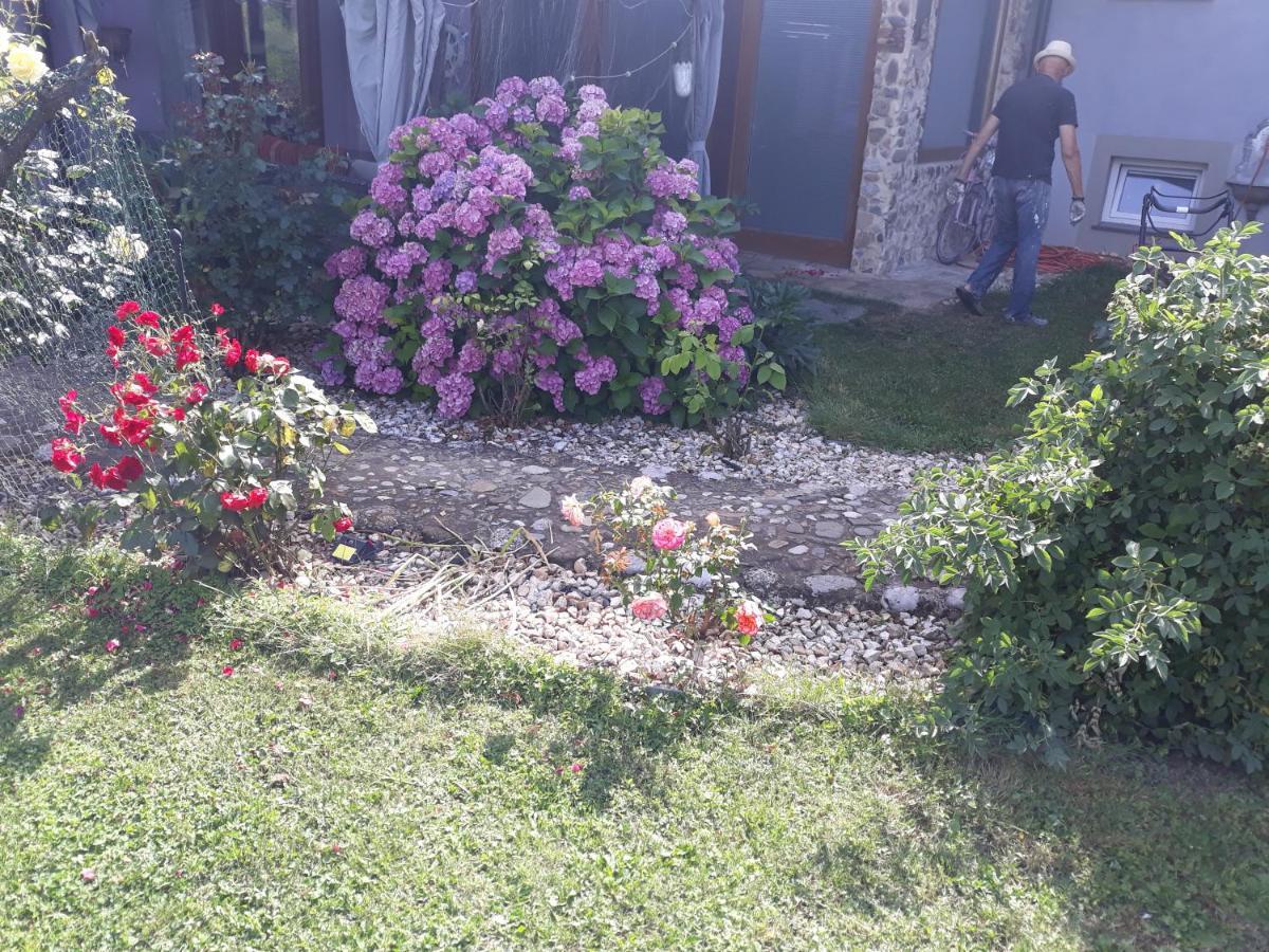 Camping Under The Walnut In Your Own Tent On A Shared Lot And Shared Bathroom Laibach Exterior foto
